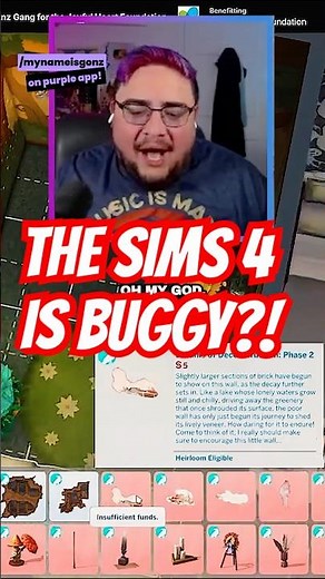 The Sims 4 Is BUGGY?!