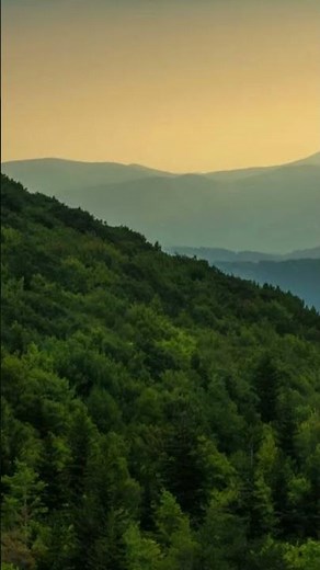 Mount Rogers: Virginia’s Highest Mountain 🏔️