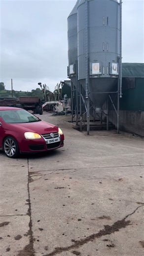 Caoimhin (@caoimhin.mceldowney08)’s videos with original sound - Colm O brien