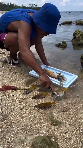 Amazing Coastal Fishing! Picking Up Fresh Fish from the Sea Shore 🌊