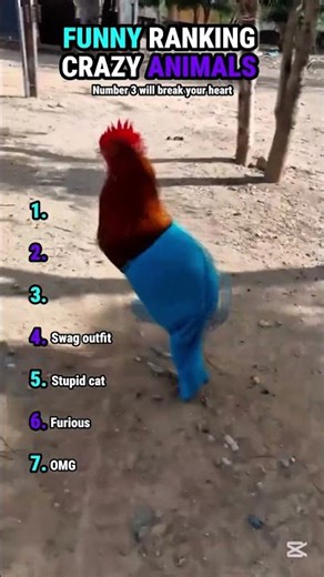 Crazy Animals Ranking: Top 7 Wildest Funny Moments😂😅