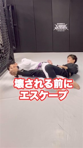 【膝十字固めエスケープ3選】 #グラップリング #bjj #grappling #mma #ブラジリアン柔術 #格闘技 #膝十字固め #サブミッション #bjjtechnique #Knee Bar