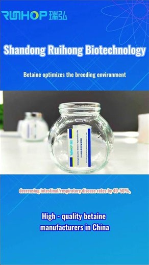Betaine Optimizes the Breeding Environment #betaine #animalnutrition #sustainablefarming
