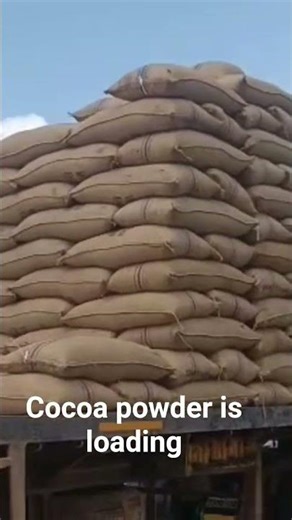 best cocoa powder loading to port 💯💯💯###