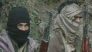 Taliban: greatest guerrilla insurgency?