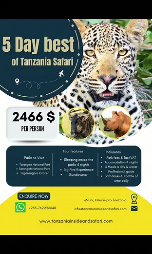 30K views · 124 reactions | Contact us for Detailed Quote . . . We are fully registered Local Tour Operator based in Tanzania  offering wildlife safaris to (Tanzania, Kenya, Uganda and Rwanda), Kilimanjaro Climbs and Zanzibar Beach holidays ️ #safari #fyp #wildlife #serengeti #africansafari #tanzania #zanzibar #touroperators #adventure | Tanzania Inside and Safari | Facebook
