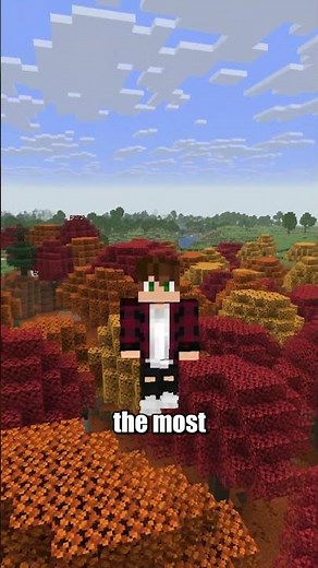 Minecraft Just Added a NEW Forest Biome…