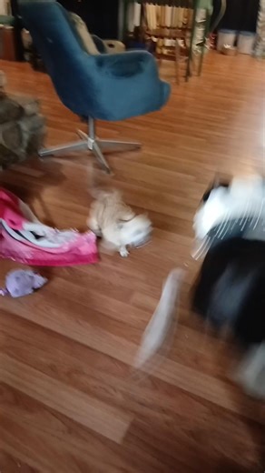 6.1K views · 46 reactions | Johnny Brown on Reels | Facebook