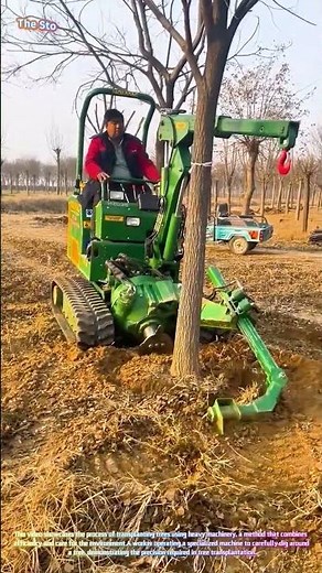 Tree Transplanting with Heavy Machinery 🌲🌳