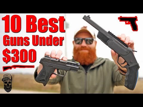 10 Best Guns Under $300