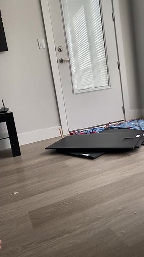 Bob has the periscoping/goose neck vibes going on. #ballpython #ballpythonmorphs #ballpythonbreeder #ballpythoncommunity #royalpython #snake #snakes #snakesofinstagram #animal #animals #animalslovers #reptile #reptiles #reptilekeeper #reptilelover #pet #pets #petsoftiktok #animal #animals #animalsofinstagram #snake #snakes #snakesofinstagram #Repost #viral #video #shorts #reels | Black Lake Reptiles