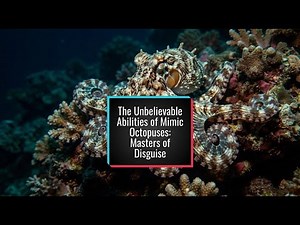 The Unbelievable Abilities of Mimic Octopuses: Masters of Disguise