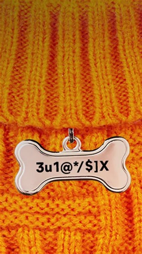 11K views · 25 reactions | Pet names =/= effective passwords. | Avast Software | Facebook