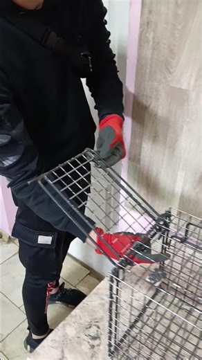 Cat Trap: Quick Start Guide