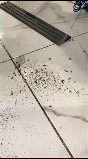 Los rodapies de aluminio en muebles de cocina son zonas de gran refugio para la cucaracha germánica. Por eso nos caracterizamos por tratar cada rincón y cada zona de su casa o local comercial y con esto brindarle la tranquilidad suficiente para tener un espacio libre de plagas. 🚫🪳🐜🪰🦟🐁 CONTÁCTENOS 6239 2786 #plagas #fumigacion #cucarachagermanica #controldeplagas #cucarachaamericana #fumigacion