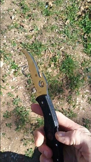 Spyderco Matriarch 2 FRN VG10