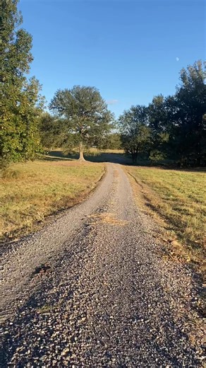 35 reactions | Sharon Cole on Reels | Facebook