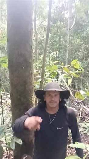 NÓIS NA NET 📸 | 😂🐄 MC Robson e suas histórias… Hoje tem mais uma daquelas histórias com pouca mentira 😅 MC Robson vai contar a saga da vaca que a mãe dele... | Instagram