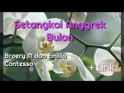 Setangkai Anggrek Bulan lirik - Broery M & Emilia Contessa