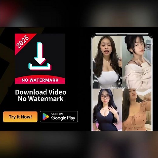 How to Download TikTok Videos in 1 Click | Best TikTok Video Downloader Tool 2025