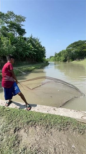 Little boy cast net throw best akill #reels #skills #fishing #funny #fish #river #little