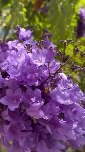 spring arrives and everything shifts #spring #transformation #shorts