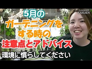 Gardening in May: Important points, tips, and advice on changing environments [Gardening at home]...