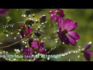 Composter, c’est facile ! Épisode 6 / Quand et comment retirer mon compost ?