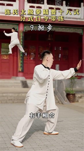 太极拳精要十八式分式教学，今天学习《拗步》 #太极 #我的健身打卡 #健身吧老铁 #暑假变强计划