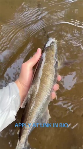 🐡 15 DAYS LEFT Fish for Change empowers young people to become global citizens through experiential learning. Our one week international fly fishing camps for high school and college aged students blends cultural exchange and environmental stewardship. Our goal is to use fishing as a platform to build empathetic, curious, passionate and confident young adults. 40% of our students join us on financial need based scholarships thanks to our donor community. We also partner with local communities, 