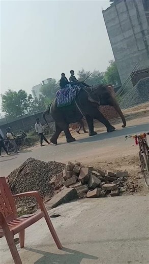 Hati mera shati😰👍