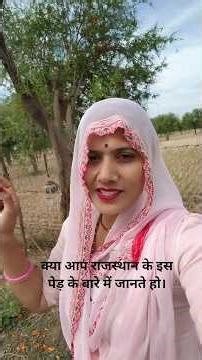 Do you know about this tree? #rajasthan #blog #blogger #desi #bagdi #shorts