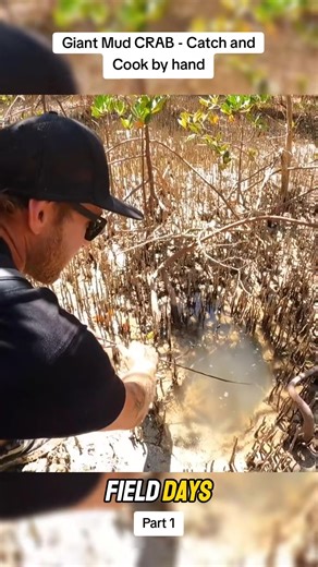 Giant Mud CRAB - Catch and Cook by hand #crab #catchandcook #camping #fishing #Outdoors #fielddays #fyp | Field Day