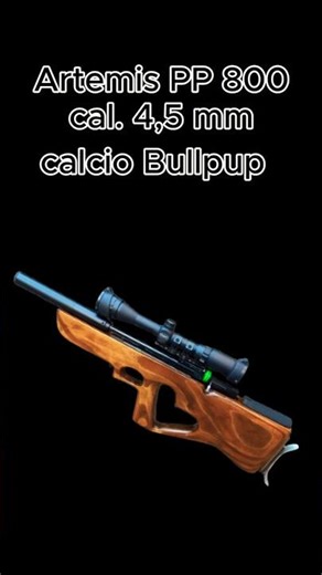 Airgun Artemis PP800.😉