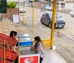 Que PAPA nous arrache de tout danger . | Ks Bloom