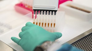 CNN goes inside Covid-19 sequencing lab