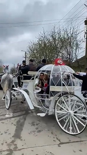 @CaiTrasuri CostiBobocu #CaiOlandezi #Cinderella #Glob 0767684322 | Costi Bobocu CB