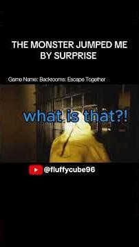 my best friend and i in the backrooms #backrooms #horrorgame