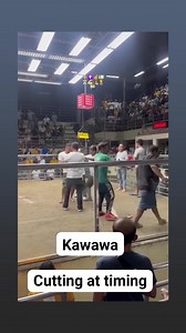 Pointed😂 | Sevy's Probiotics