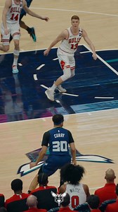 184K views · 3.1K reactions | Let em cook | Charlotte Hornets | Facebook