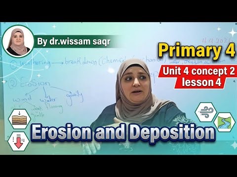 Primary 4 Science 2nd term unit 4 concept 2 lesson 4