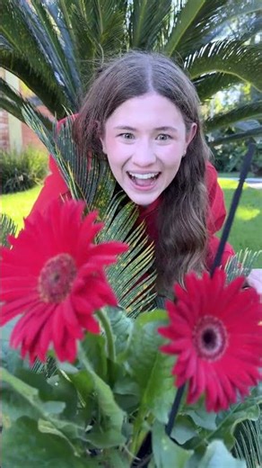What happened to the flower? 🌸😲