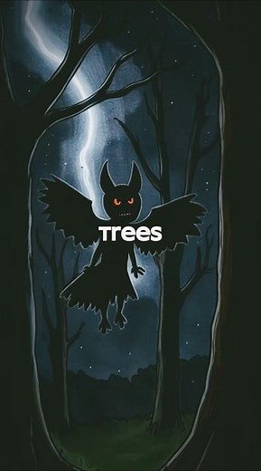 The Haunting Mystery of America's Forests