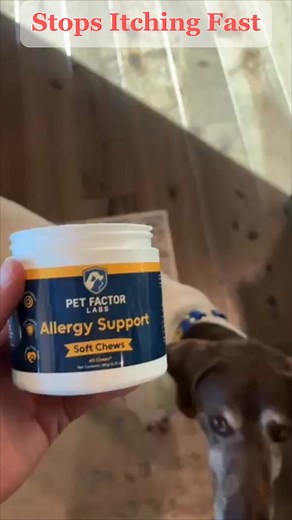 🎁 FREE Anti-Itch Chews for Dogs – Just Pay Shipping! Say goodbye to scratching, hot spots & irritated skin — naturally & permanently. ✅ Vet-Backed ✅ Targeted System: Key Ingredients to Help Reduce Itching ✅ Safe for All Breeds & Ages Thousands of dog owners are seeing real relief. 👇 Supplies are limited – Claim yours now! 🔶 [TRY IT FREE] | Pet Factor Labs