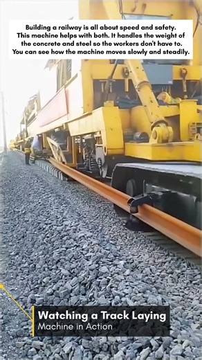 Watching a Track Laying Machine in Working