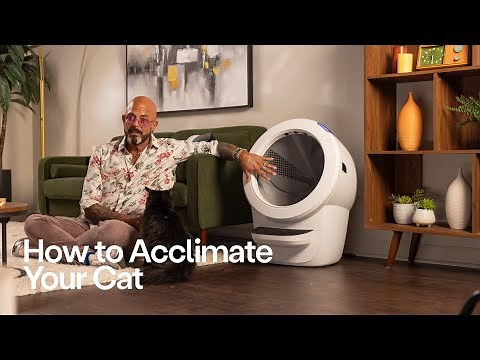 How to Acclimate Your Cat to Litter-Robot | Tips from Cat Behaviorist Jackson Galaxy