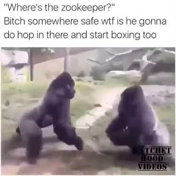 Zookeeper Full Movie