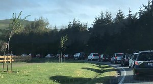 Further development ‘improbable’