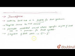 What is the process of formation RNA from DNA know as ?