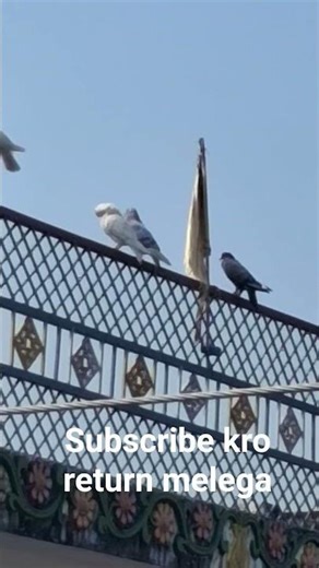 support kro new video #attitudedialoguestatu